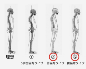 勝どき・晴海パーソナルジムYUMO